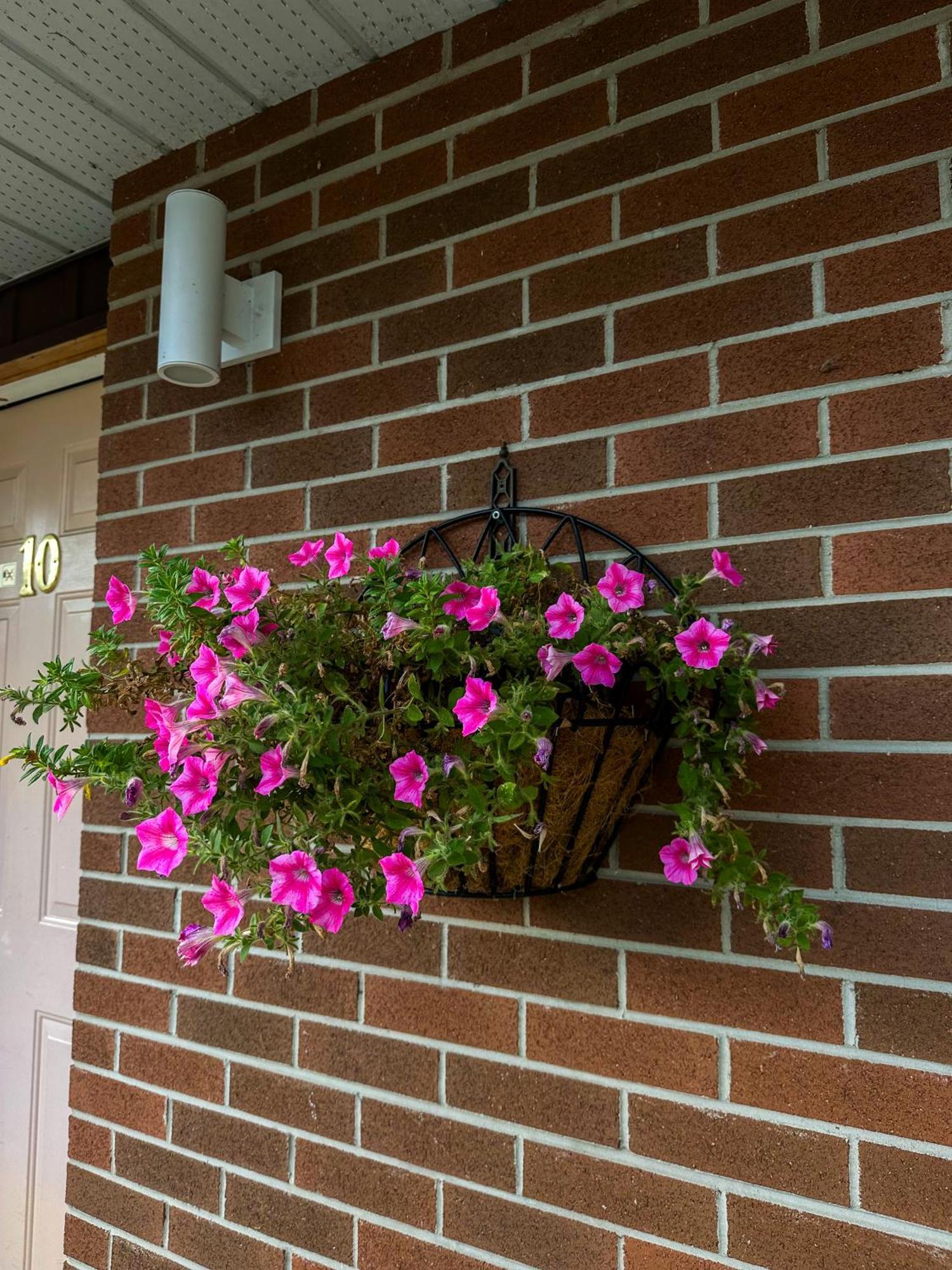 Oasis By The Bay Vacation Suites Wasaga Beach Exterior photo